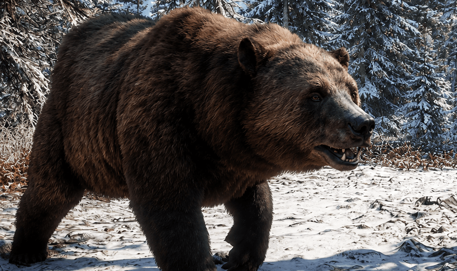 Eurasian Brown Bear