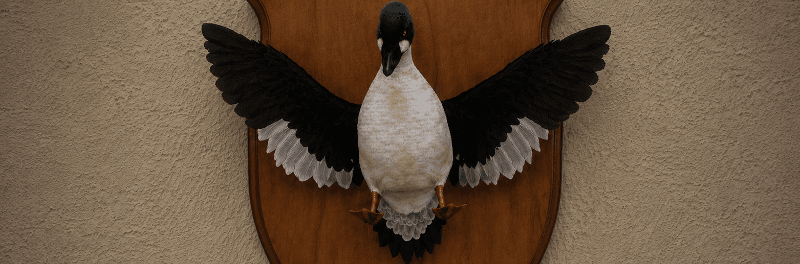 Black plumage