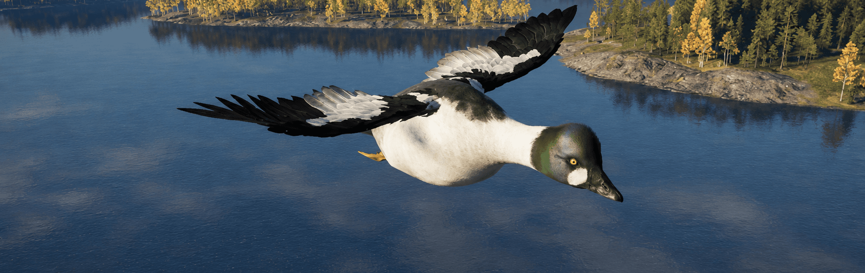 Goldeneye