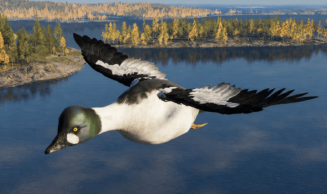 Goldeneye