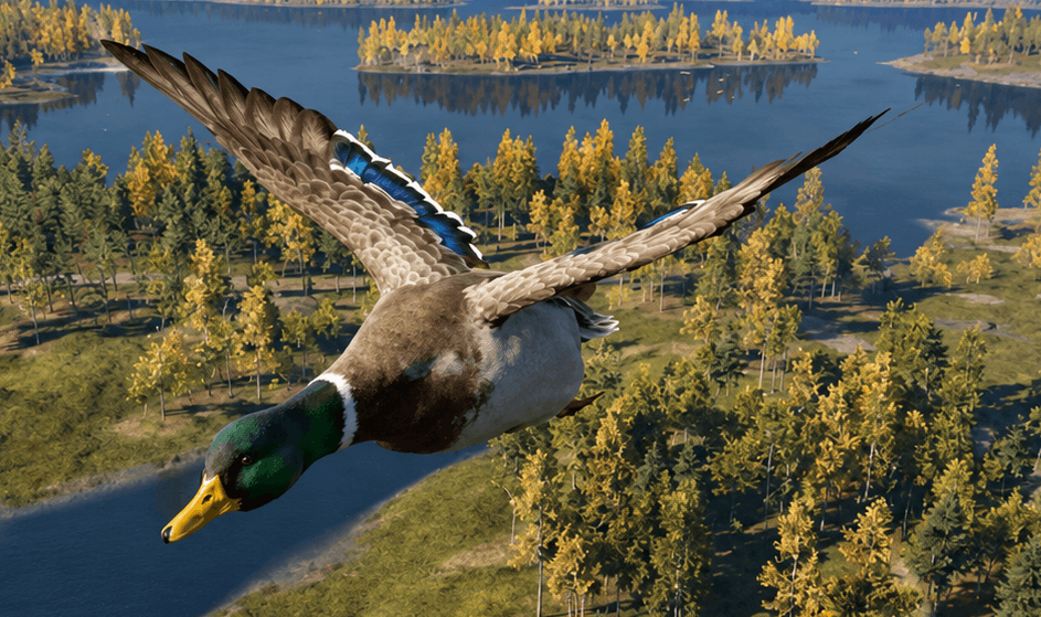 Mallard