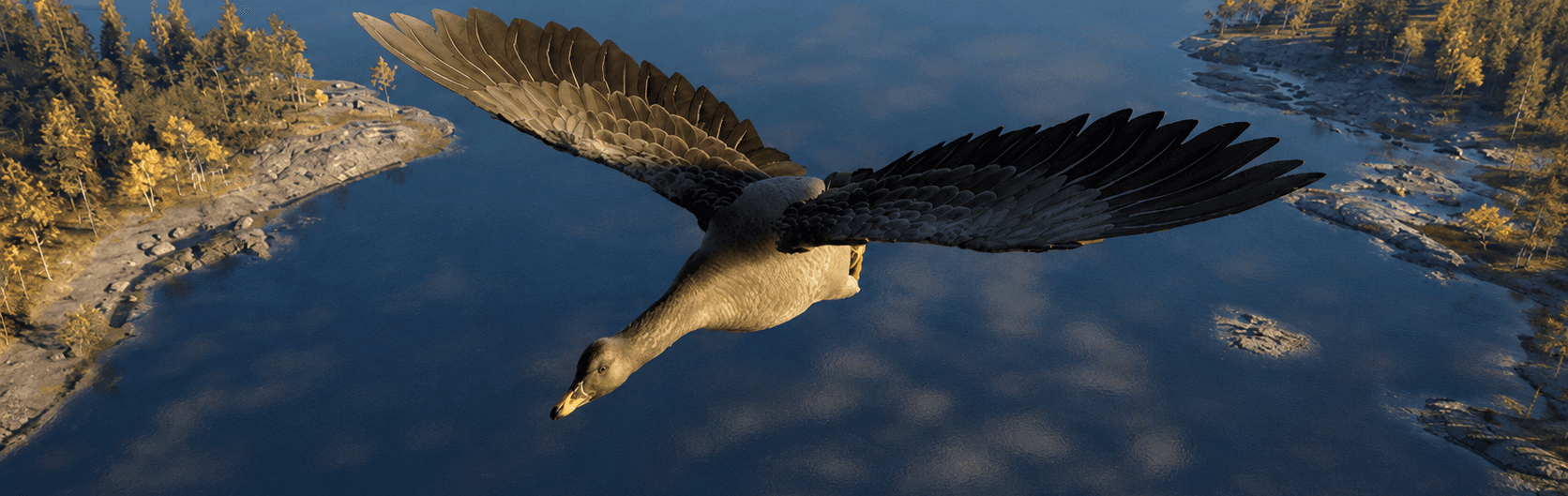 Tundra Bean Goose