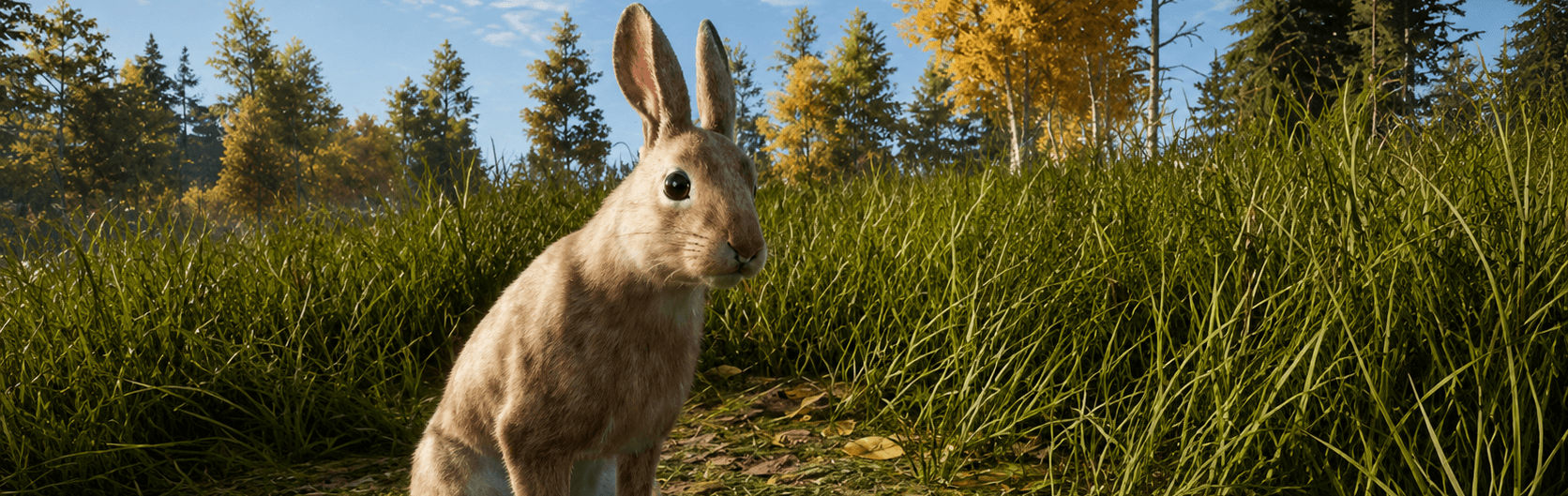 Mountain Hare